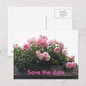 Sla de datum op - roze rozen aankondigingskaart (Voorkant / Achterkant)