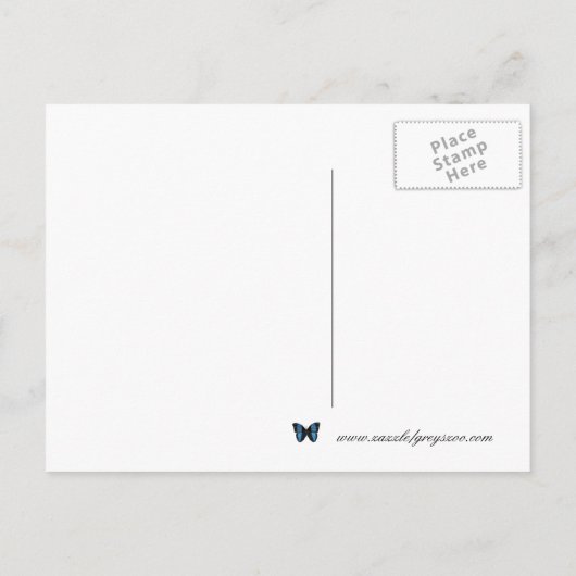 Sla de datum  Uil II Briefkaart (Achterkant)