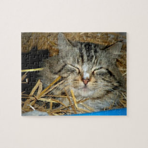 Slaande kat Kitty foto Legpuzzel
