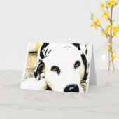 Slaap Dalmatische Wenskaarten Kaart (Gele Bloem)