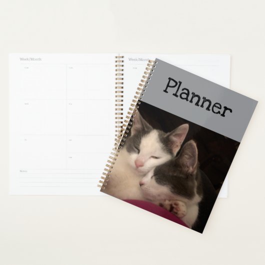 Slaap kat planner (Display)