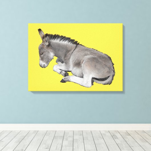 Slaap kleine baby ezel canvas afdruk (Insitu (Houten vloer))