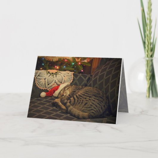 Slaap Santa Daisy Kitty Cat Kitten Vakantie Kaart (Voorkant)