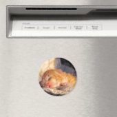 Slaap Tight Sweet Kat Magneet (Insitu (Vaatwasser))