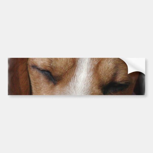 Slaapbeagle Bumpersticker (Voorkant)