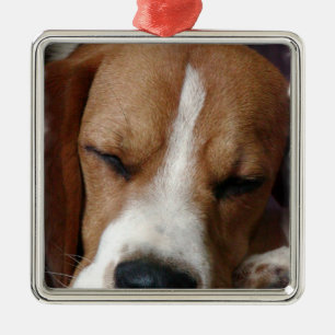 Slaapbeagle Ornament