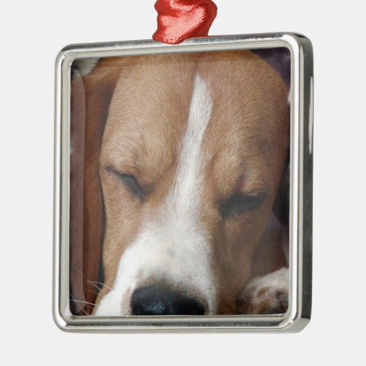 Slaapbeagle Ornament (Links)