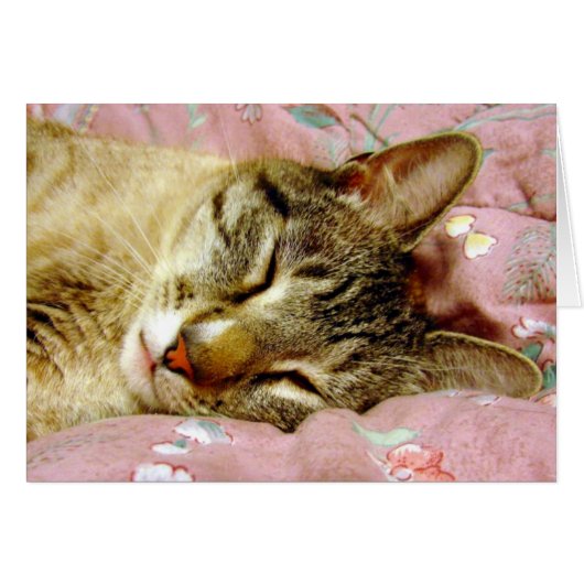 Slaapdeksel (Voorkant Horizontaal)