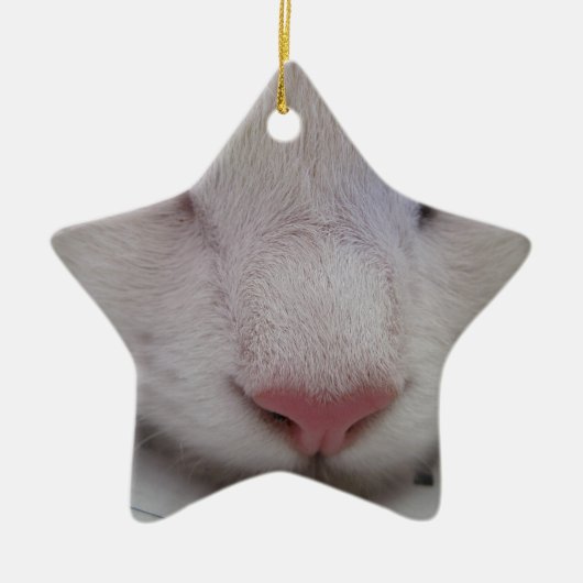 Slaapdeksel Keramisch Ornament (Voorkant)