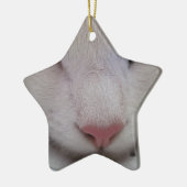 Slaapdeksel Keramisch Ornament (Links)