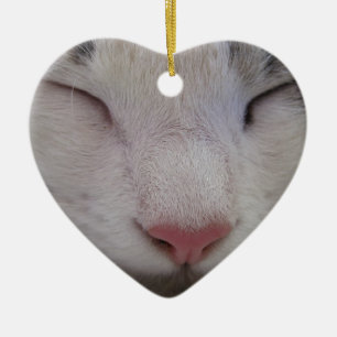 Slaapdeksel Keramisch Ornament