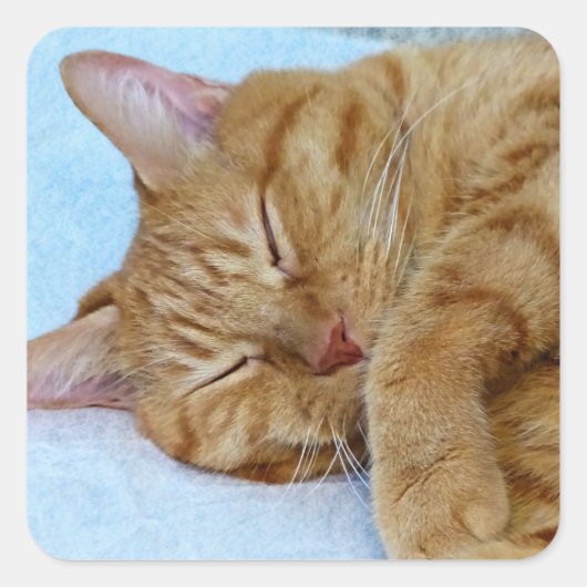 Slaapdeksel Vierkante Sticker (Voorkant)