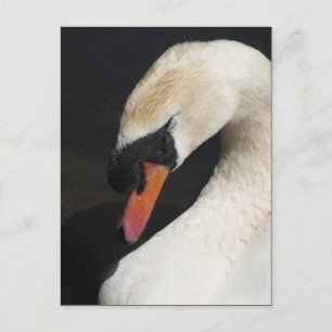 Slaapdemper Briefkaart