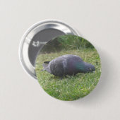 Slaapduif Button (Voorkant /achterkant)