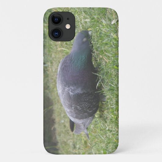 Slaapduif iPhone 3 Case (Achterkant)