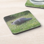 Slaapduif Onderzetter (Linkerzijde)