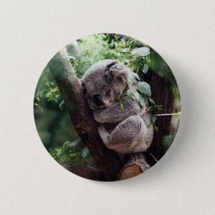 Slaapend Baby Koala Ronde Button 5,7 Cm