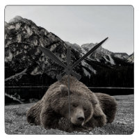 Slaapend Beer Rustisch Cabine Decor Landscape