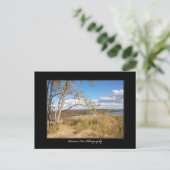 Slaapend Beer Sand Dunes 1 - Briefkaart (Staand voorkant)