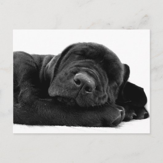 Slaapend Briefkaart (Voorkant)