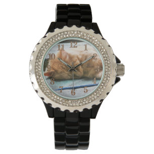 Slaapend gember horloge