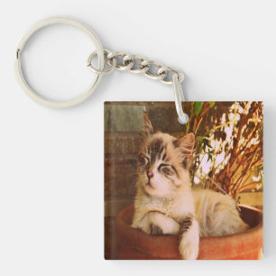 Slaapend Kat comprimeren Sleutelhanger