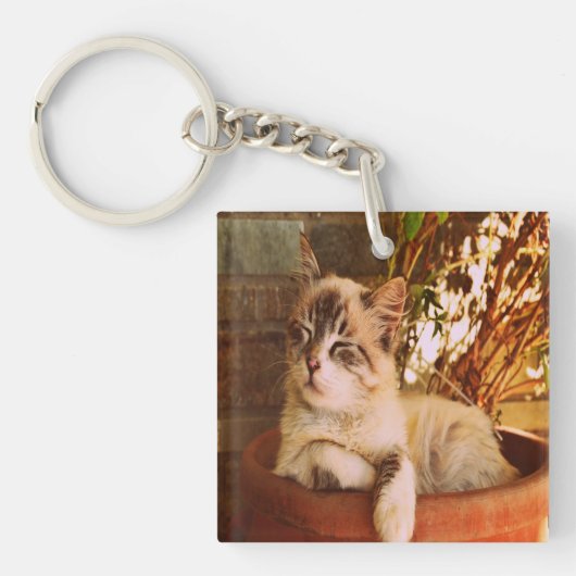 Slaapend Kat comprimeren Sleutelhanger (Voorkant)