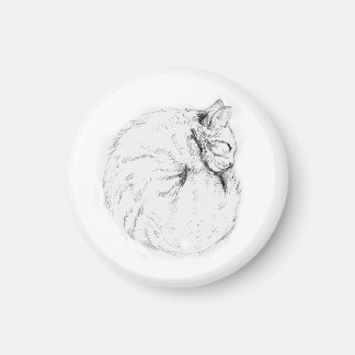 Slaapend Kat Magnet Magneet