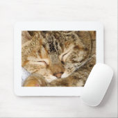 Slaapend Kat Mousepad Muismat (Met muis)