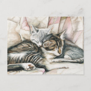 Slaapend Kittens Cat Art Briefkaart