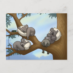 Slaapend Koala Briefkaart