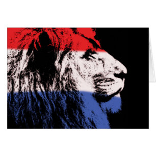 Slaapend leeuwenprofiel