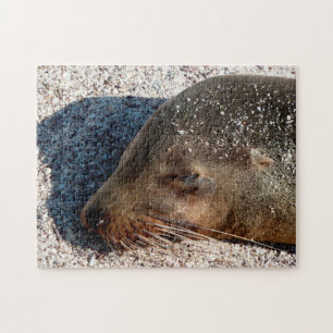 Slaapend Zee Lion Sluiten, Jigzaag Puzzle Legpuzzel