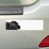 Slaapende Bumpersticker (Op auto)