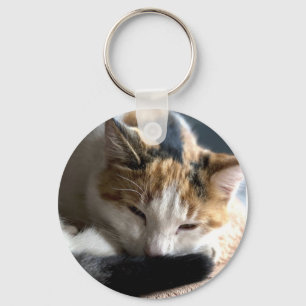 Slaapende Calico Cat Sleutelhanger