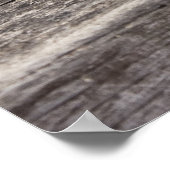 Slaapende Cretan-katten Poster (Hoek)