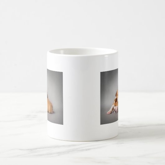 Slaapende Engelse bulldog Koffiemok (Center)