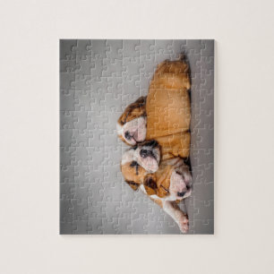 Slaapende Engelse bulldog Legpuzzel