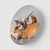 Slaapende Engelse bulldog Ronde Klok (Hoek)