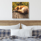 Slaapende Fox Canvas Afdrukken (Insitu (Slaapkamer))