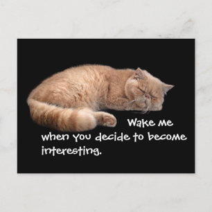 Slaapende Ginger Cat Funny Wake' Quote Briefkaart