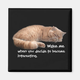 Slaapende Ginger Cat Funny Wake' Quote Magneet