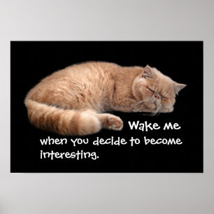 Slaapende Ginger Cat Funny Wake' Quote Poster