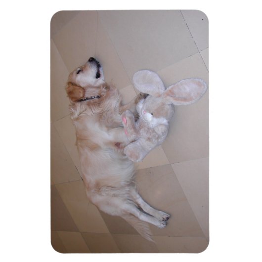 Slaapende Golden Retriever Magneet (Verticaal)