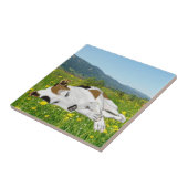 Slaapende Jack Russell in een bloeiend beemje Tegeltje (Zijkant)