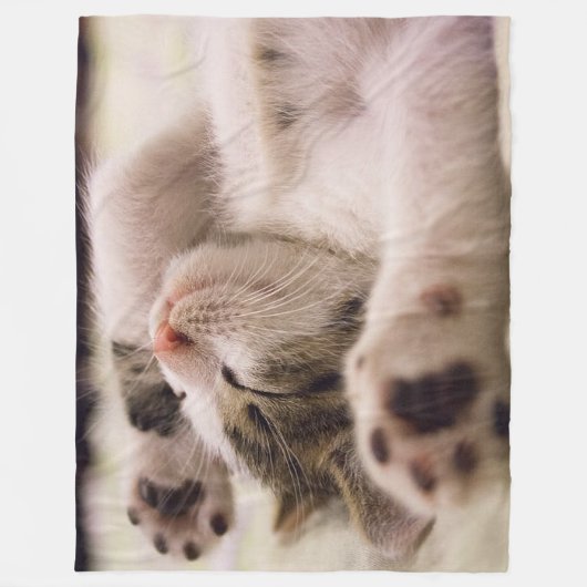 Slaapende kat-ventilator, 60 x 80 inch fleece deken (Voorkant)
