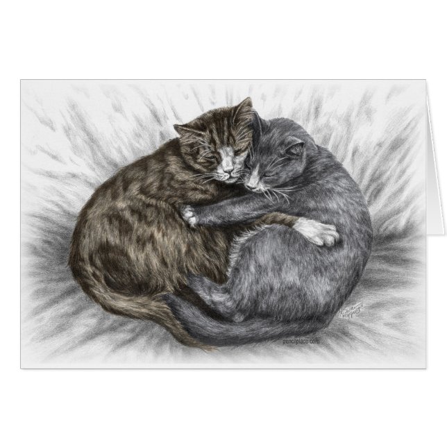 Slaapende katten (Voorkant Horizontaal)