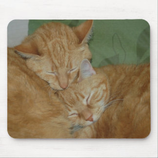 Slaapende katten Mousepad Muismat