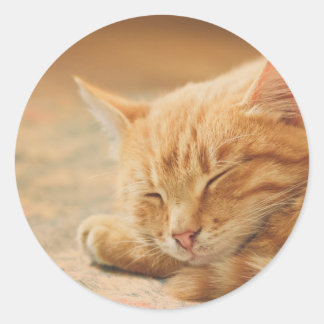 Slaapende Oranje tablet Ronde Sticker