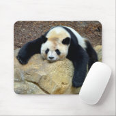 Slaapende reuzenpanda op een rots muismat (Met muis)